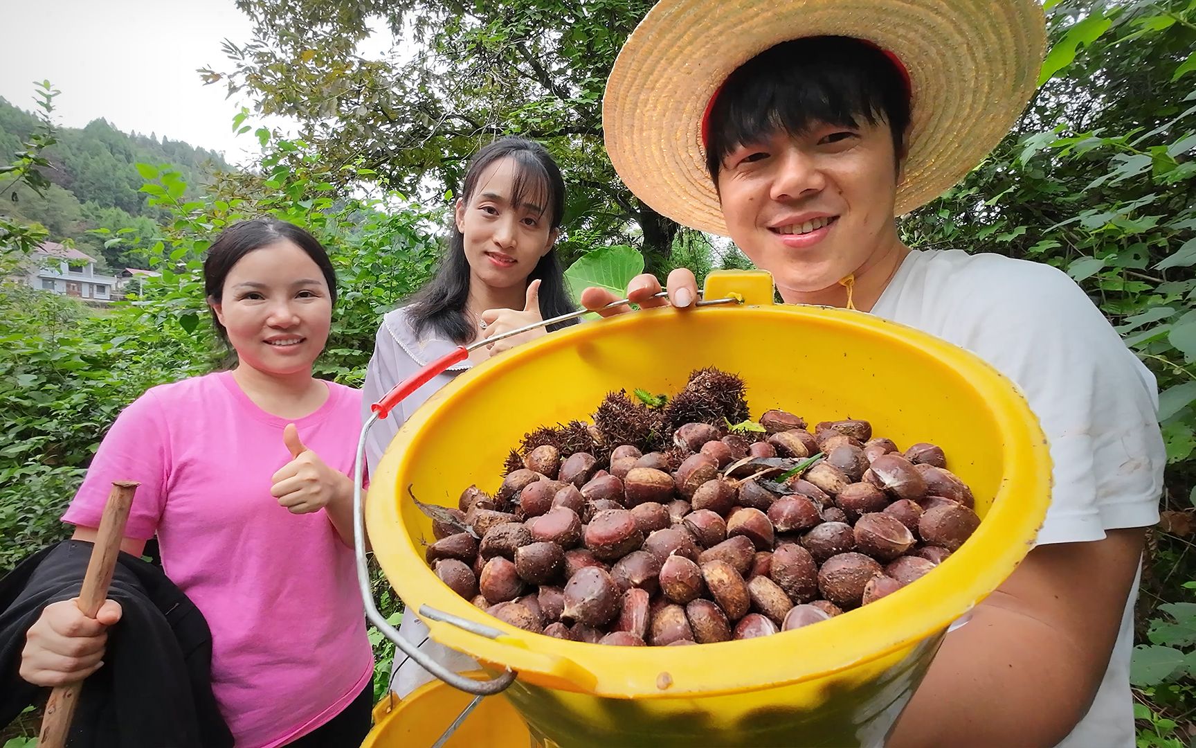 [图]带至爱亲朋上山捡板栗，回家做一个板栗烧鸡糖炒栗子