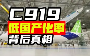 Descargar video: 技术对线: C919国产就造个壳, 有啥可嗨的？