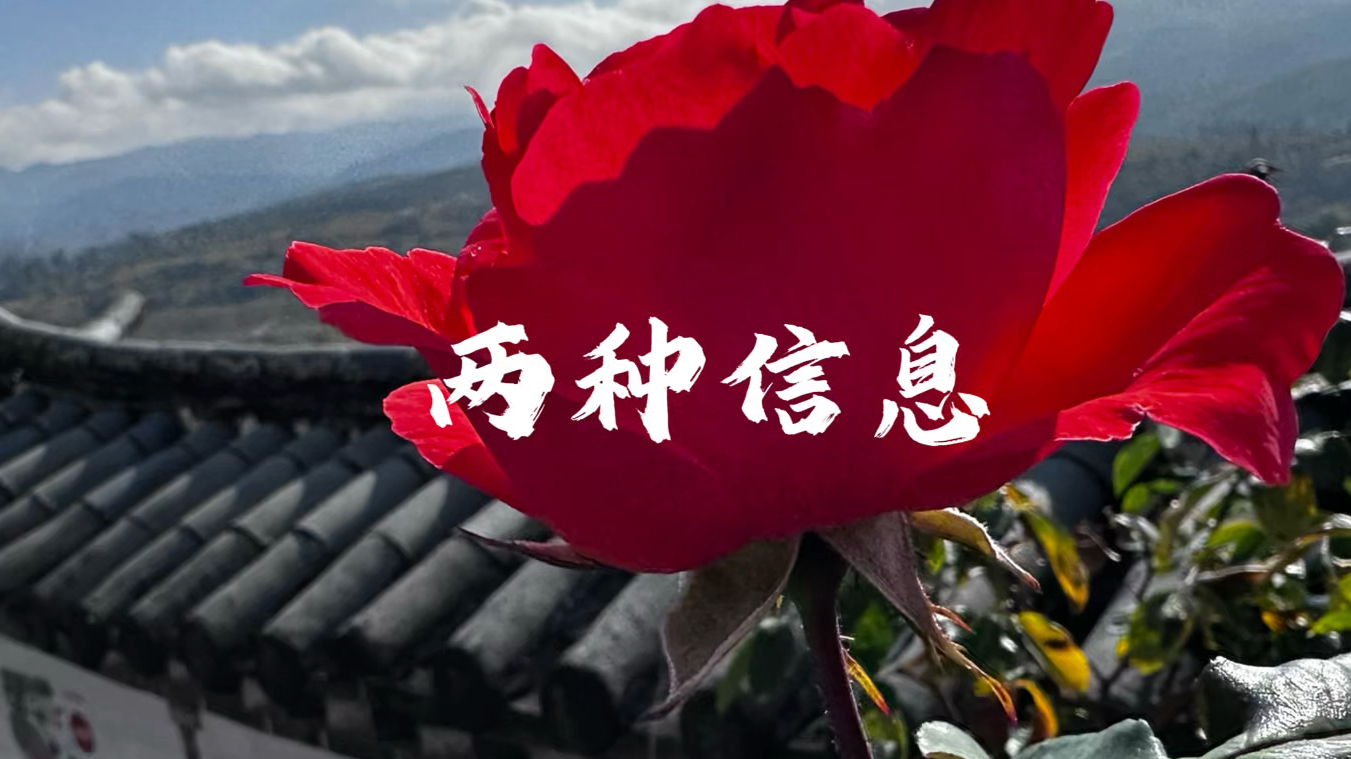 信息有两种:一种是永久性的,另一种是有时效性的.02#独立思考