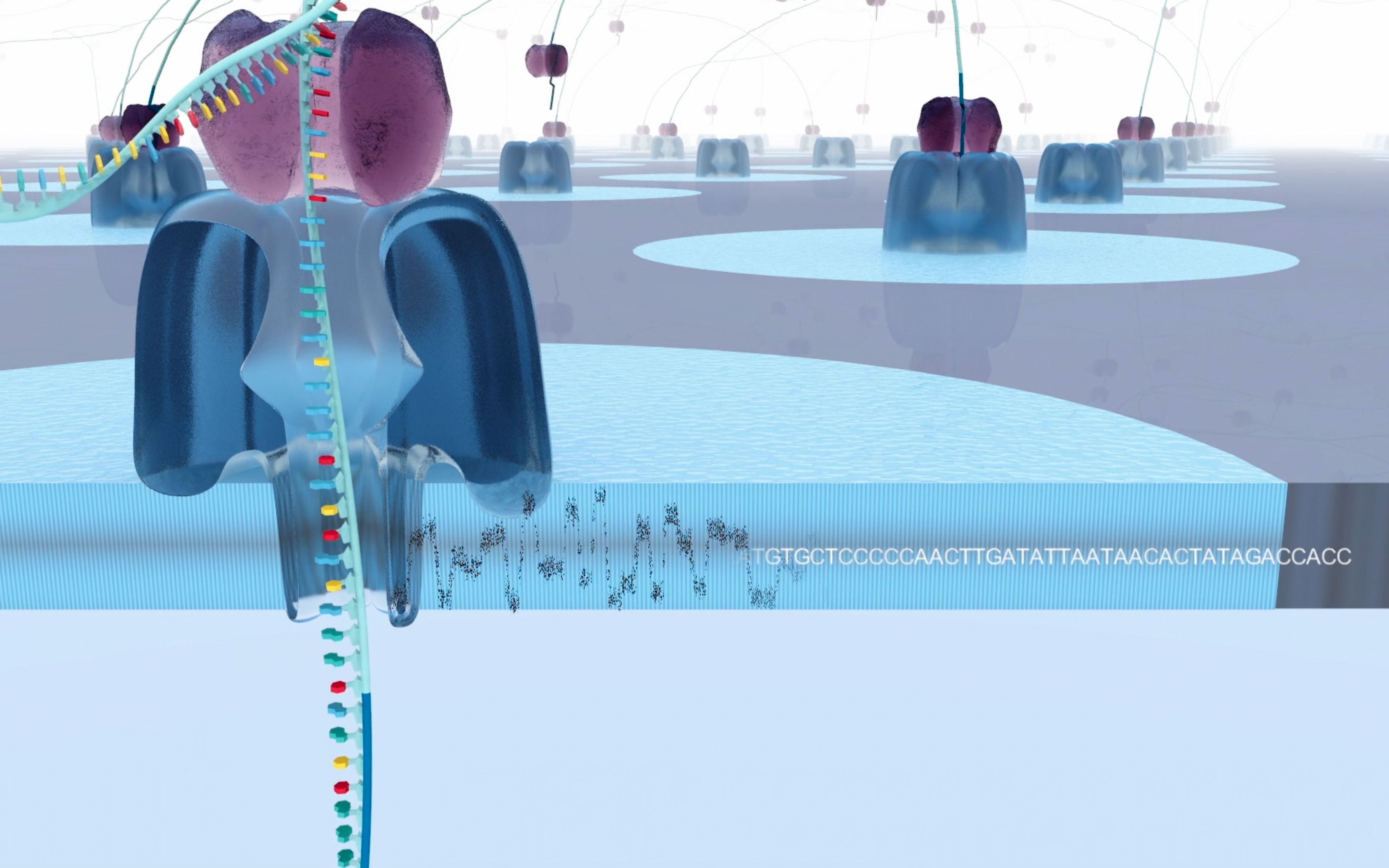 牛津纳米孔测序产品介绍 Oxford Nanopore Tech哔哩哔哩bilibili