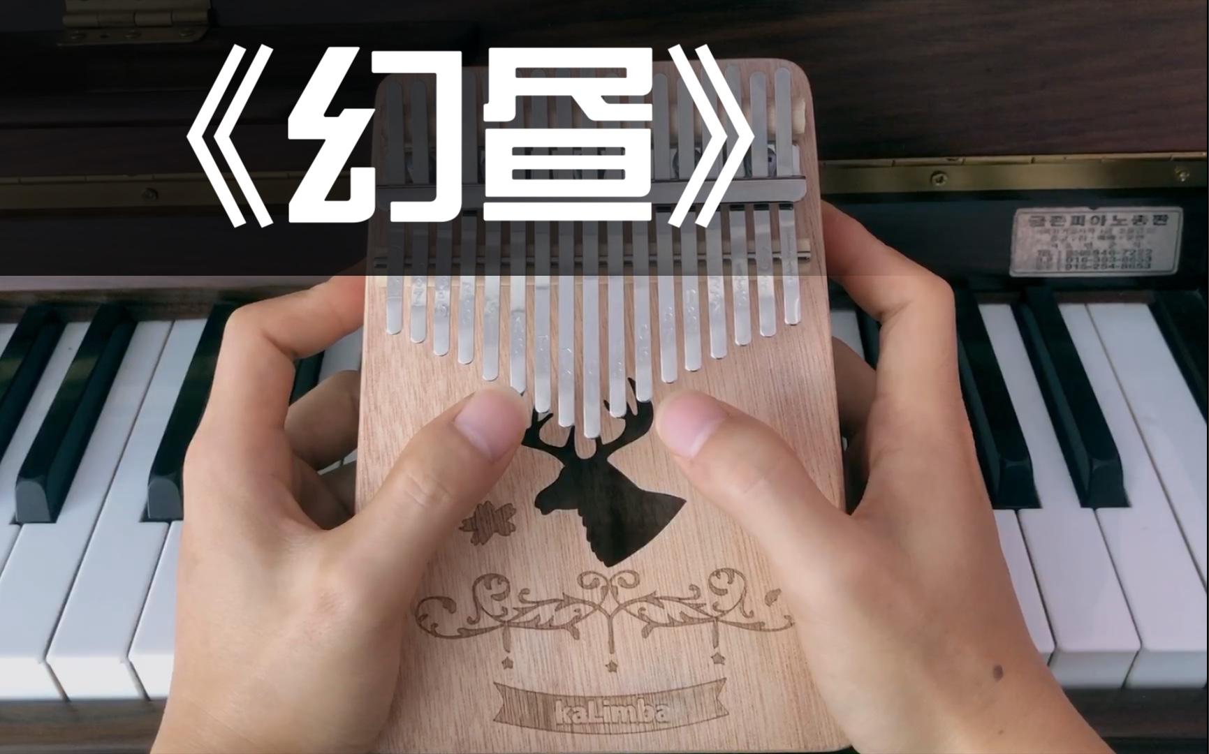 【卡林巴/拇指琴】幻昼