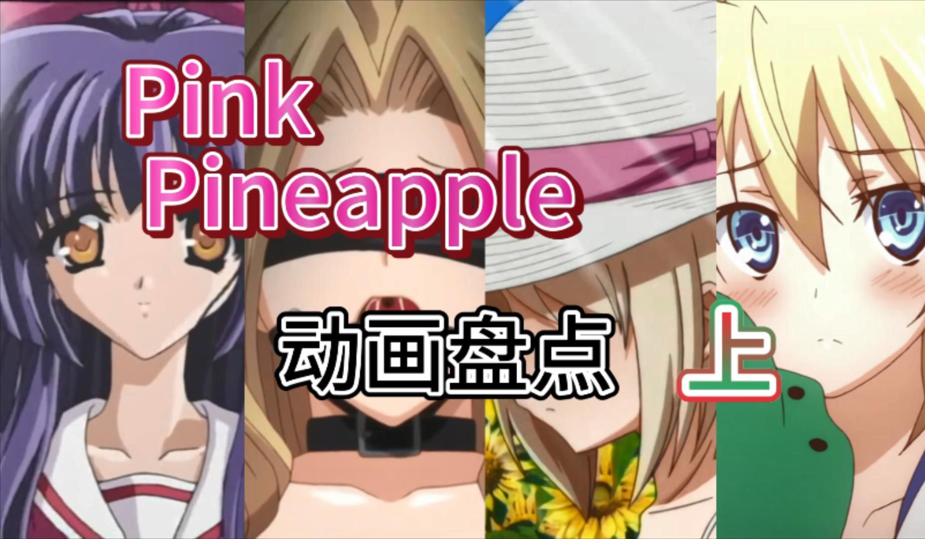 PinkPineapple[粉色菠萝]动画盘点(上)哔哩哔哩bilibili