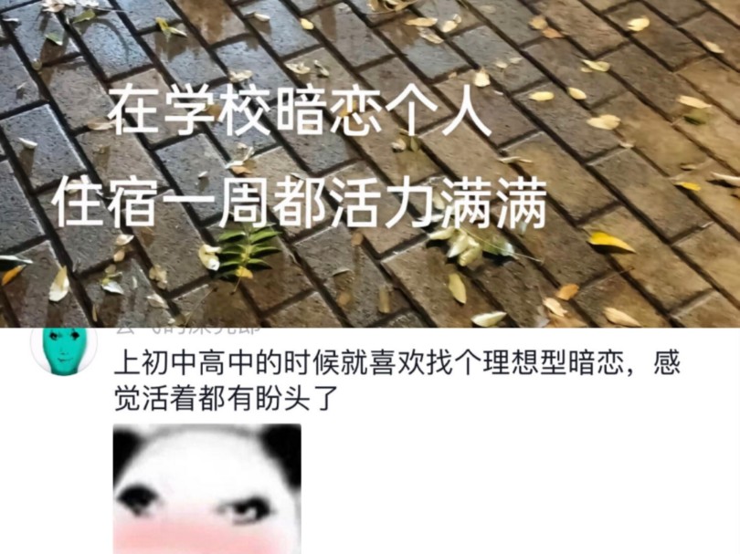 性单恋真的爽哔哩哔哩bilibili