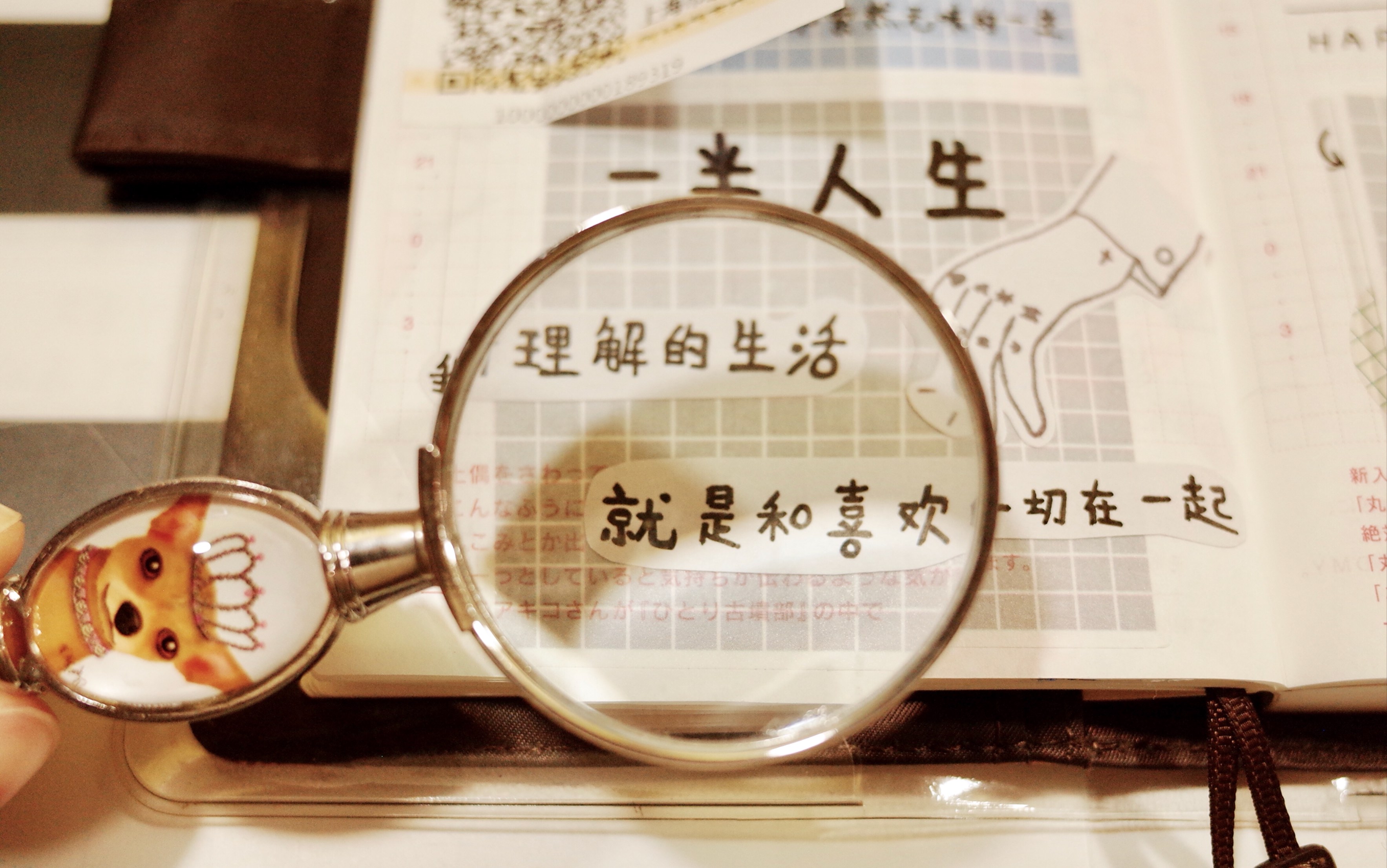 01|我所理解的生活就是和喜欢的一切在一起