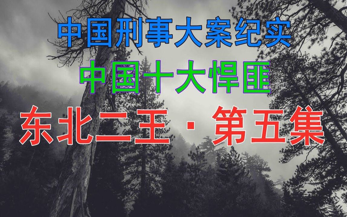 [图]中国十大悍匪 | 东北二王 | 第五集 | 中国刑事大案纪实 | 刑事案件要案记录