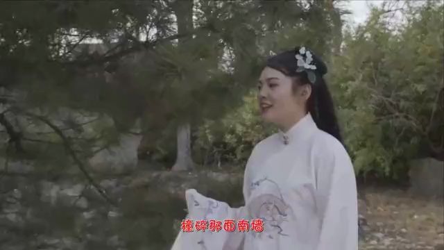 半阳一首经典音乐《大漠边疆》歌词太伤感,超级经典哔哩哔哩bilibili