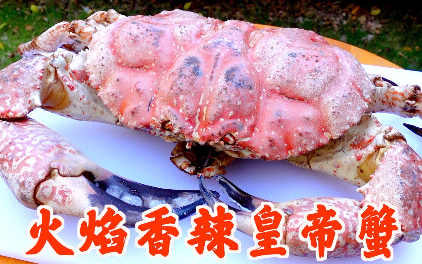 4000元做超大火焰香辣皇帝蟹减脂没成功把钱包减下去了