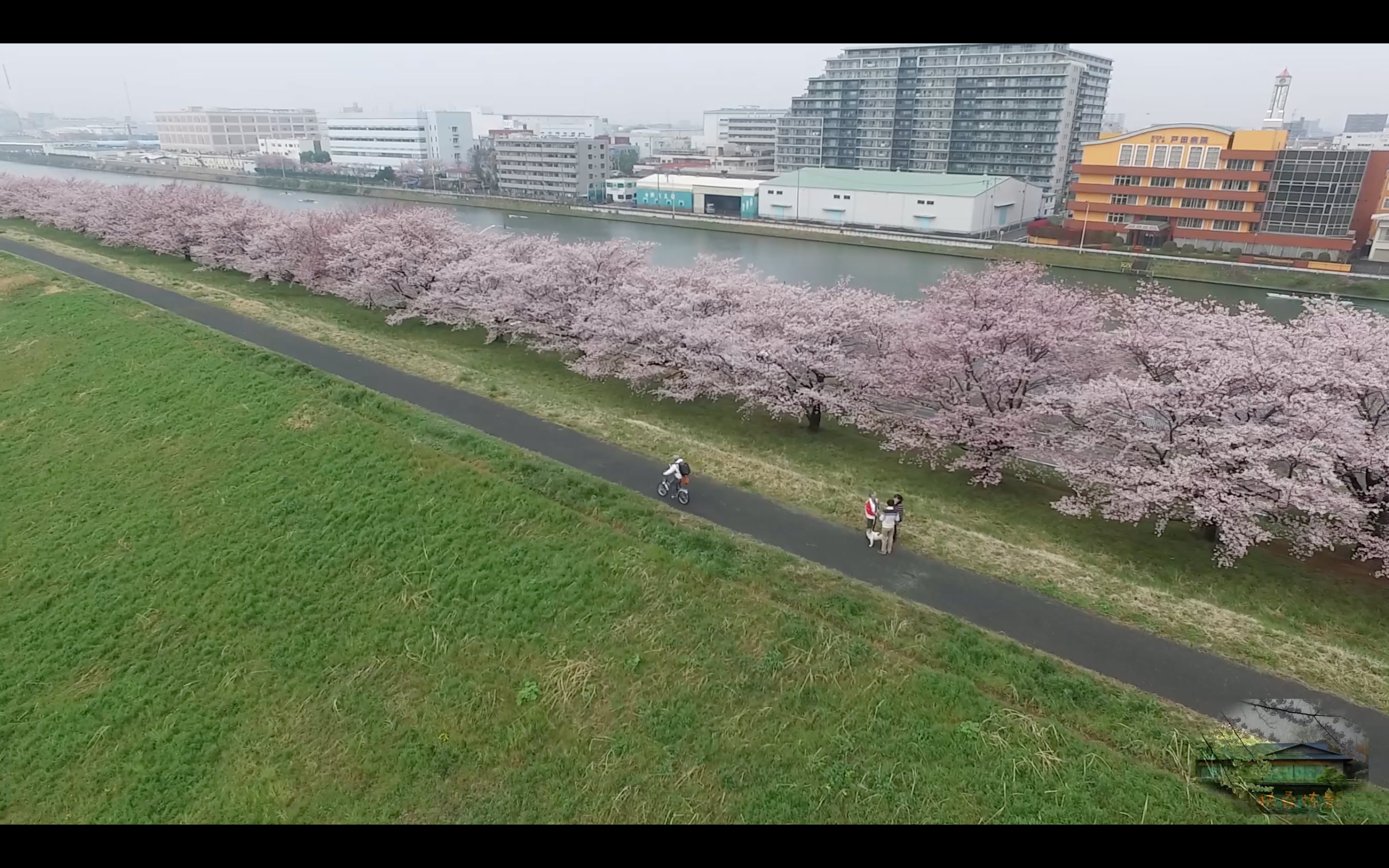 【旅日记】第一视角行日本一首歌的时间从另一个角度欣赏樱花哔哩哔哩bilibili