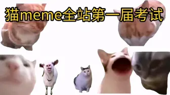 Download Video: 猫meme全b站第一届听力考试