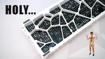 下载视频: 【Keybored】KBDfans Holy 60 + Rakka PCB 会是比 Wooting 更好的 Rapid Trigger 键盘吗？