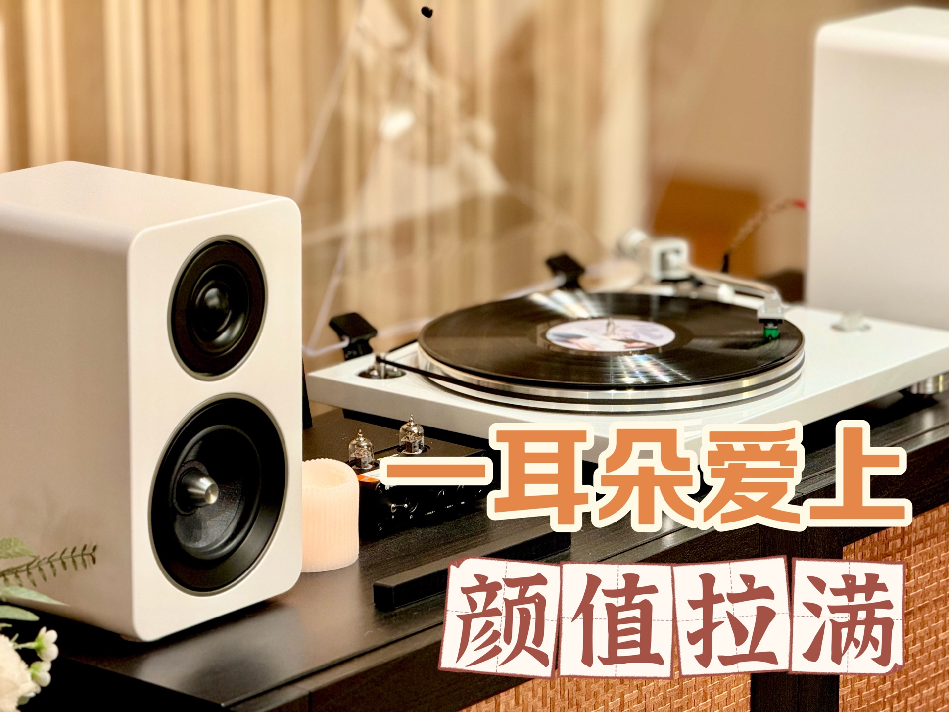 优秀的音响需要一台好唱机!真的不要太搭了【TEAC TN3B黑胶唱机+Jamo c705书架箱+Fosi Audio T20X胆机】哔哩哔哩bilibili