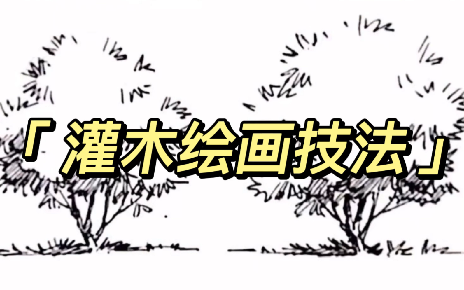 手把手教你,从零基础学手绘～第一弹——小灌木绘画技法