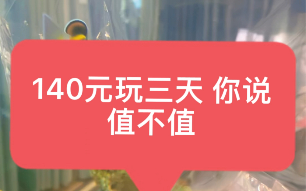 海缸入门 淡水鱼缸改海缸 养鱼和养珊瑚的第四天 新手避坑指南哔哩哔哩bilibili