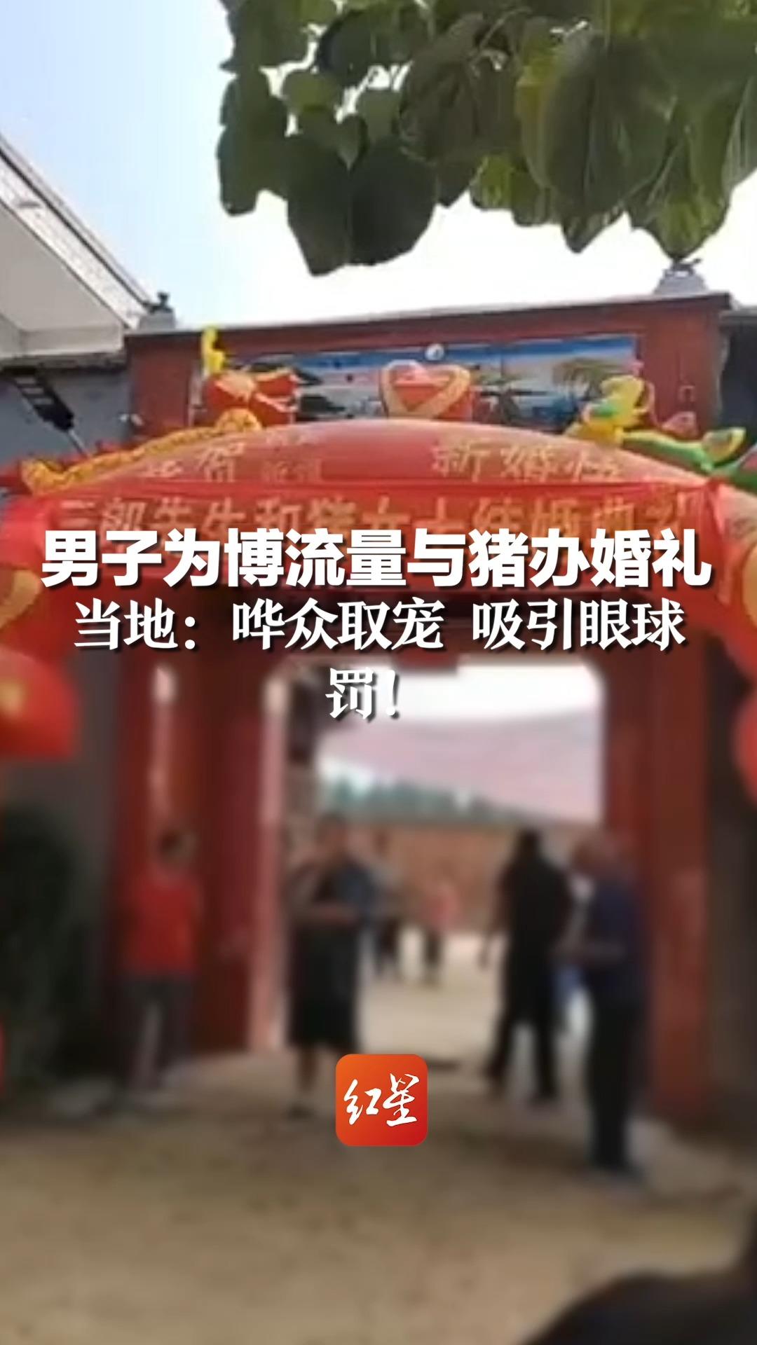 男子为博流量与猪办婚礼,当地:哗众取宠 吸引眼球,罚!哔哩哔哩bilibili