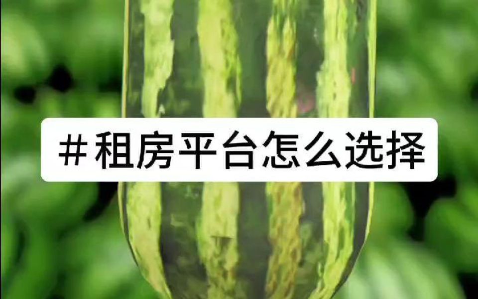 租房平台怎么选择哔哩哔哩bilibili