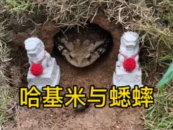 Descargar video: 一只大蛐蛐差点就被蚂蚁抬走了，还好我及时出现#哈基米 #蟋蟀 #蛐蛐