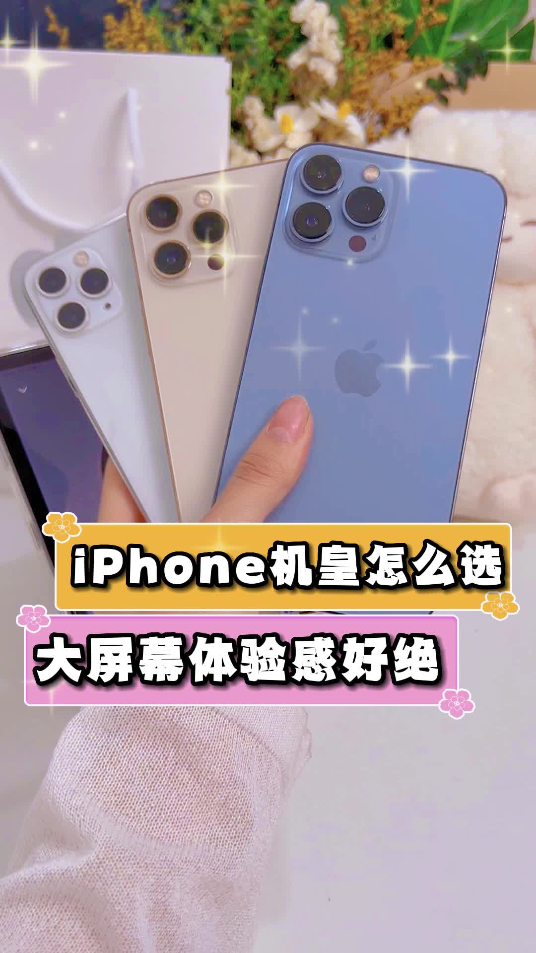 历代机皇iphone三款大屏旗舰机 怎么选?直接封神的高清画质哔哩哔哩bilibili