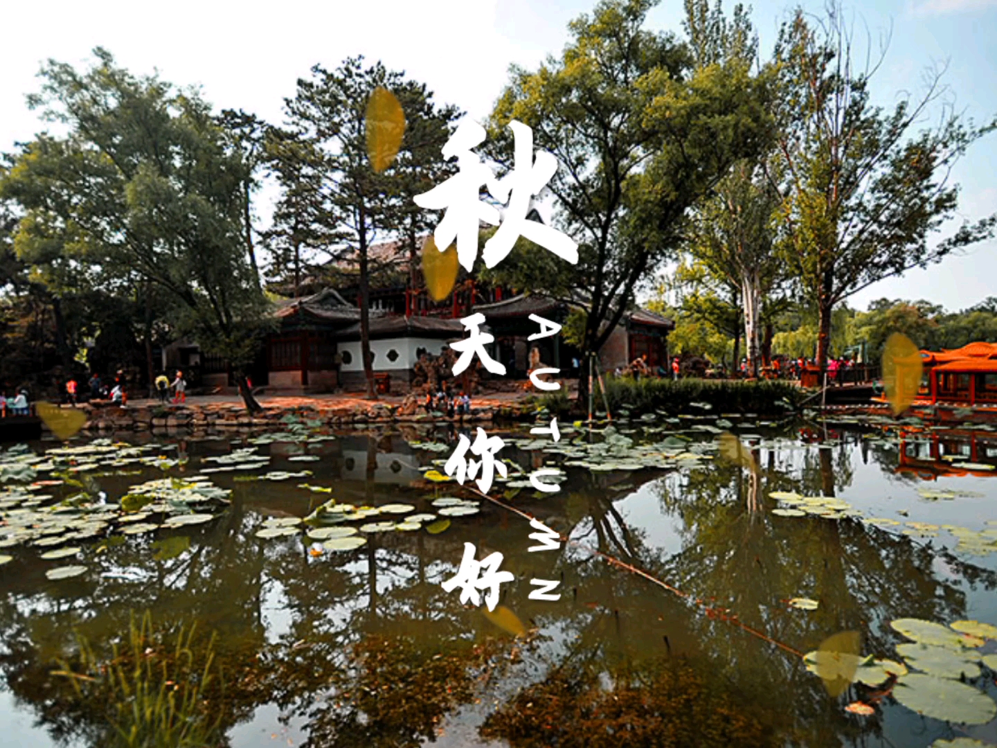 随手拍秋天,夏去秋来四