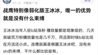 大家说战鹰像不像缩小版的王冰冰？