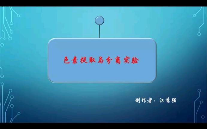 色素分离与提取实验 生物会考哔哩哔哩bilibili