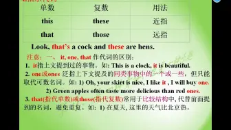 代词第四讲(1.指示代词 2. it, one& that的用法 3，it 的特殊用法)