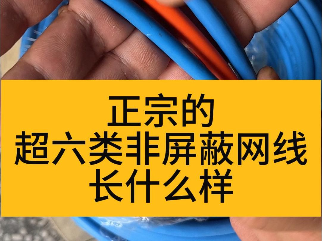 正宗的超六类非屏蔽网线长什么样哔哩哔哩bilibili