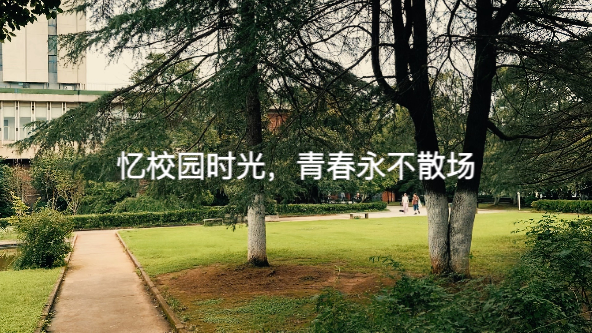 忆校园时光,青春永不散场