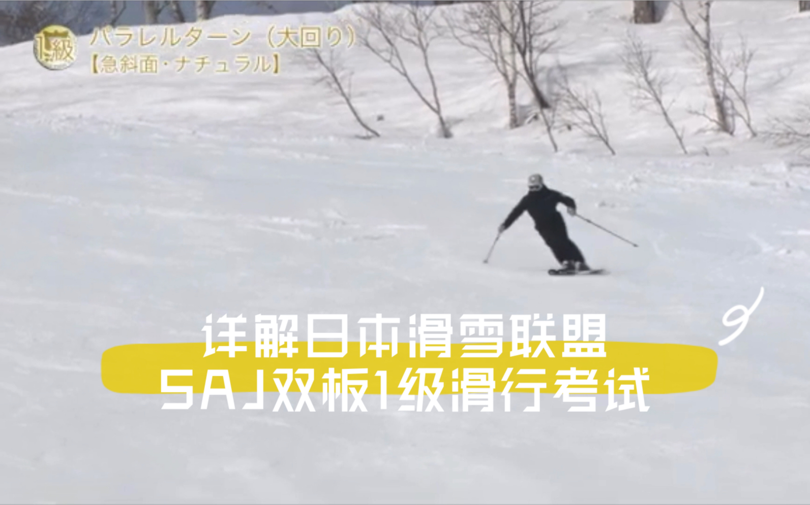 详解日本滑雪联盟SAJ双板1级滑行考试哔哩哔哩bilibili