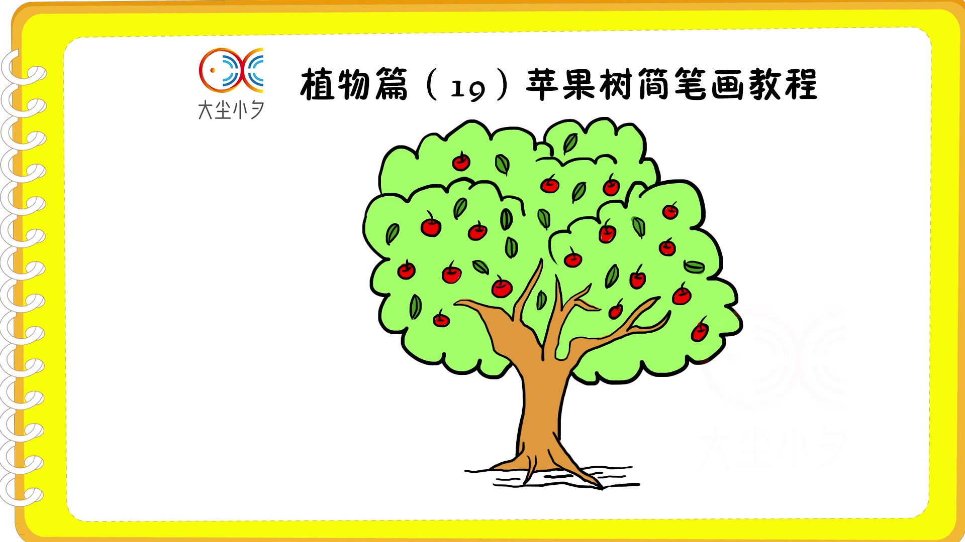 植物篇(19)苹果树简笔画教程