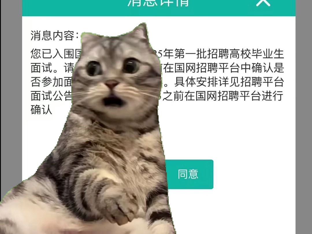 当你收到国网面试通知时哔哩哔哩bilibili