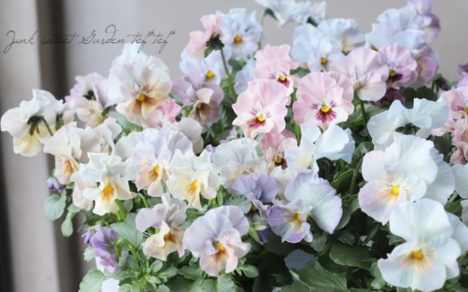 Melvin白的个人空间 哔哩哔哩移动版