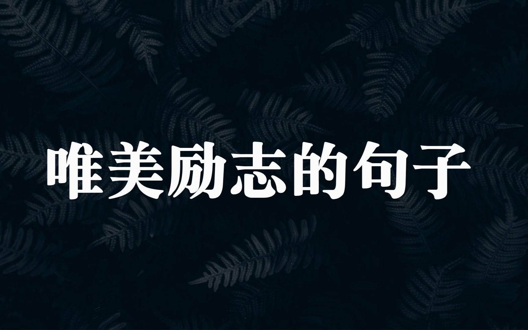 “即使没有月亮,心中也是一片皎洁.”那些唯美励志的句子哔哩哔哩bilibili