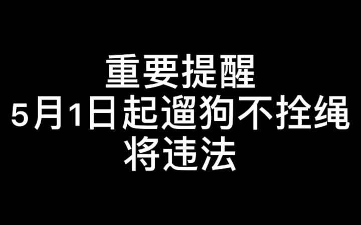 重要提醒:新《中华人民共和国动物防疫法》将于5月1日起正式实施,明确规定,遛狗不拴狗绳将不再是违规行为,而是违法行为!哔哩哔哩bilibili