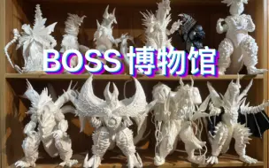 Download Video: 雷布朗多的精英和boss们