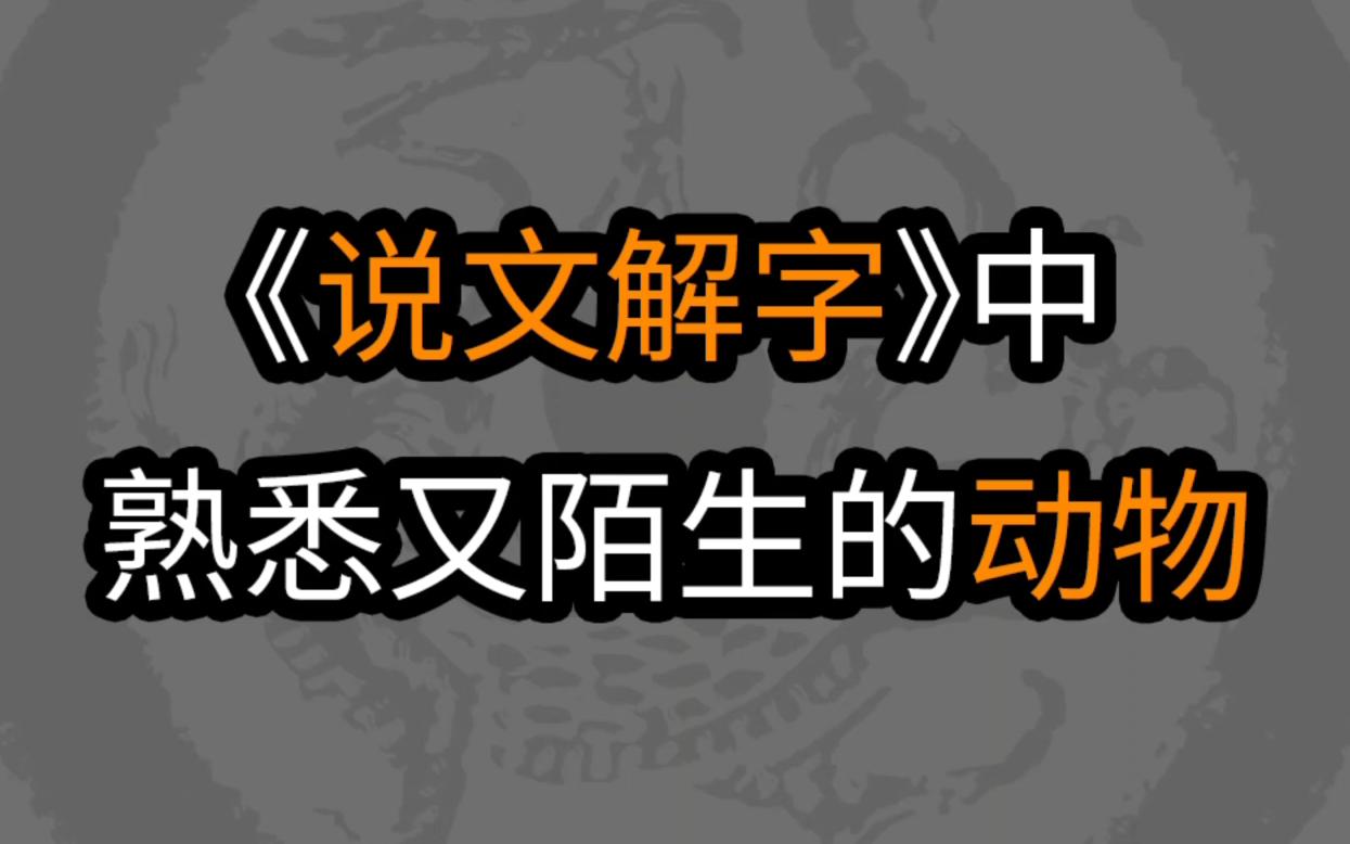 [图]《说文解字》中熟悉又陌生的动物