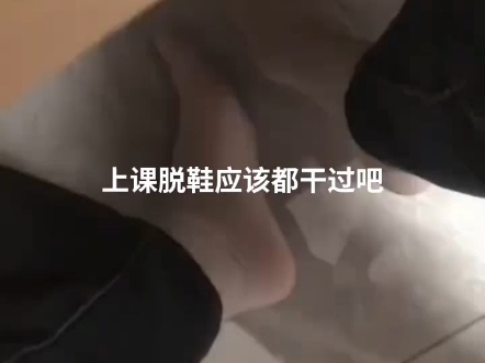 沙漠狐狸是世界上最小的狐狸哔哩哔哩bilibili