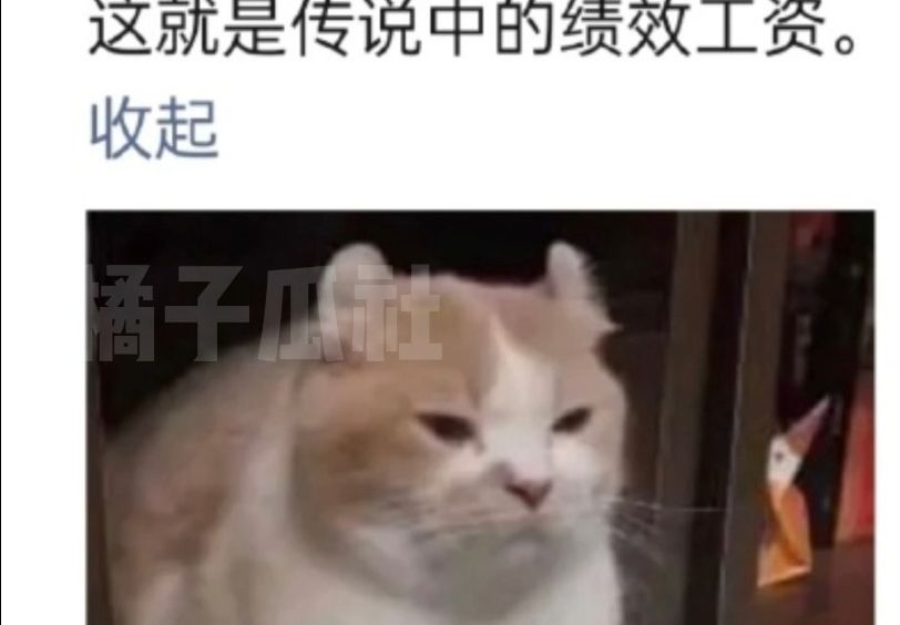 生动诠释了什么叫绩效工资哔哩哔哩bilibili