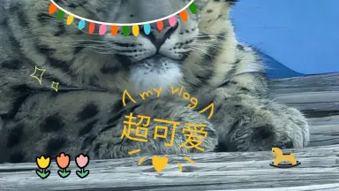 西野-哔哩哔哩_Bilibili