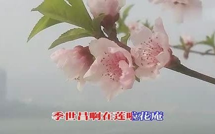 [图]老淮剧《莲花庵》选段劝归许乃华演唱