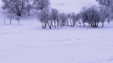 轮台东门送君去,去时雪满天山路. 山回路转不见君,雪上空留马行处.哔哩哔哩bilibili