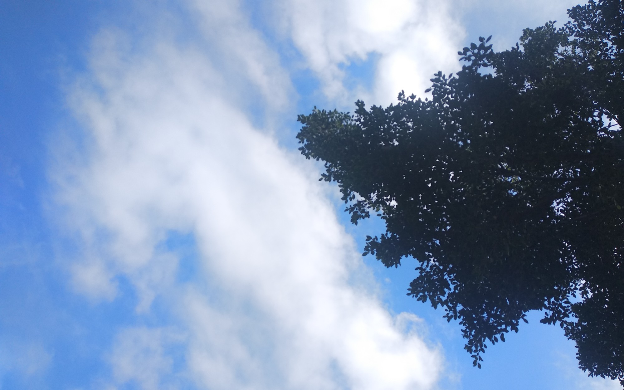 [天空]静下心看一下云吧