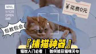 快递箱子别浪费 做成捕猫器哈哈哈哈哈哈哈 哔哩哔哩 Bilibili