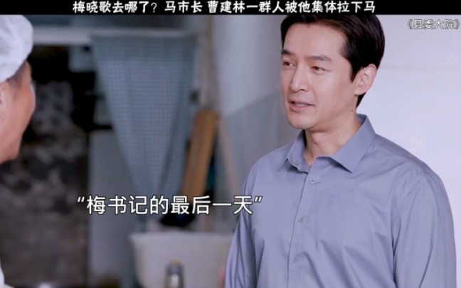 【县委大院】不管现实有没有梅书记,致敬“梅晓歌”所做的一切哔哩哔哩bilibili