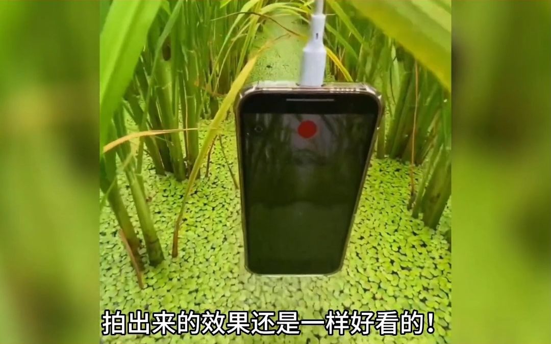 全网最具创意的拍摄方式,手机插进水里冒泡再拿出来,就可以拍出唯美的画面。