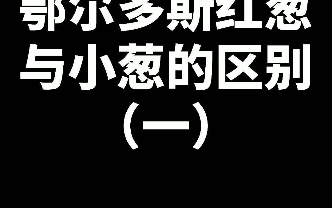 【鄂尔多斯红葱特点】鄂尔多斯红葱与小葱的区别(一)哔哩哔哩bilibili