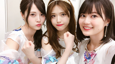 推しどこ  全話   〔乃木坂46 乃木坂って、どこ？ 「推しどこ？」 DVD全巻 14本セット 【新品