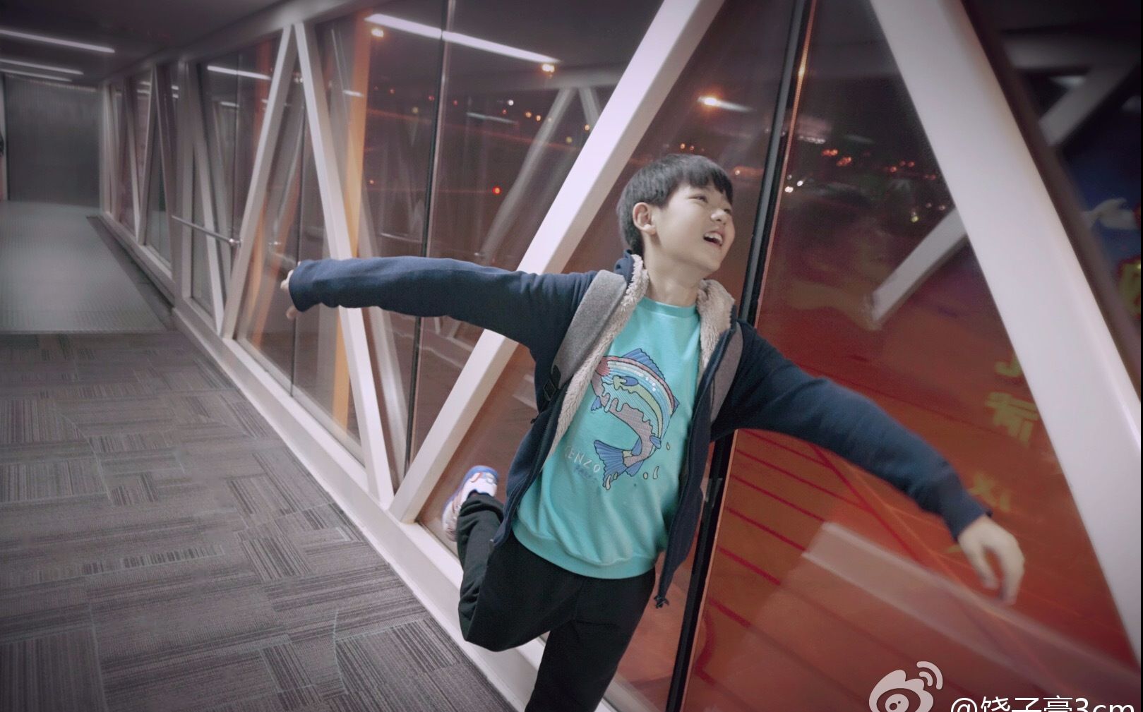 (饶子豪)柠檬树