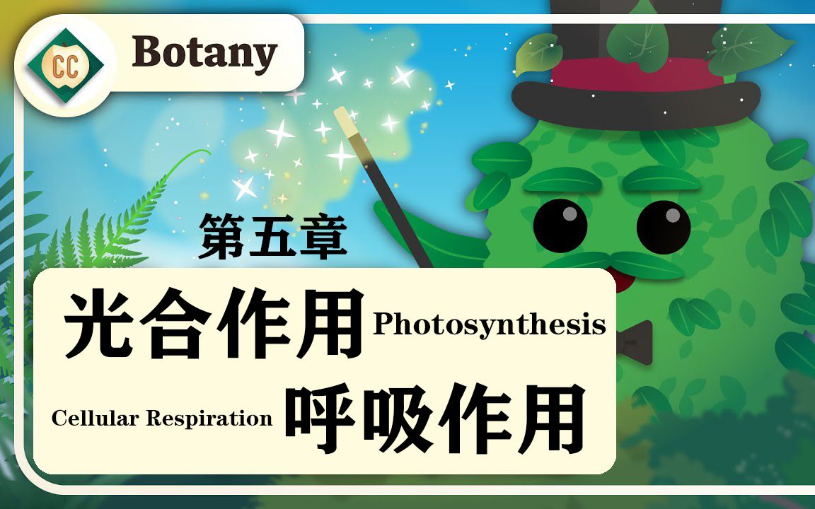 [图]【十分钟速成课：植物学】第5集，光合作用与呼吸作用（中英字幕）Crash Course Botany #5