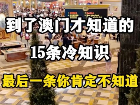 到了澳门才知道的15条冷知识,最后一条你肯定不知道.#澳门回归25周年 #澳门旅游景点 #澳门旅游攻略 #澳门旅游打卡景点 #澳门旅游须知哔哩哔哩bilibili