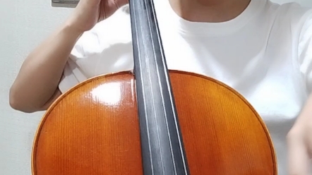 大提琴: 揉弦练习生